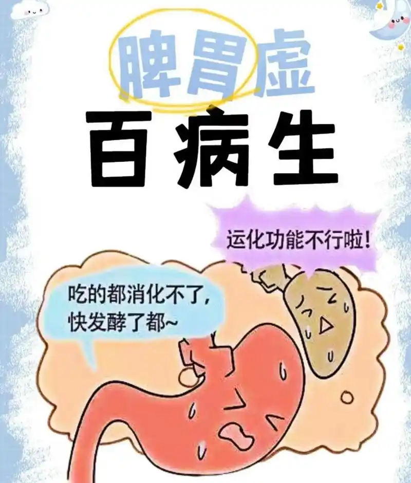 蓝天助手：脾胃健康是祛湿关键，掌握正确方法轻松告别湿气困扰