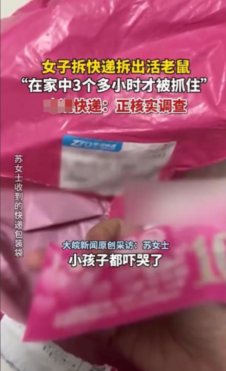 51助手官网：深圳女子网购连衣裙惊现老鼠，快递安全隐患引关注