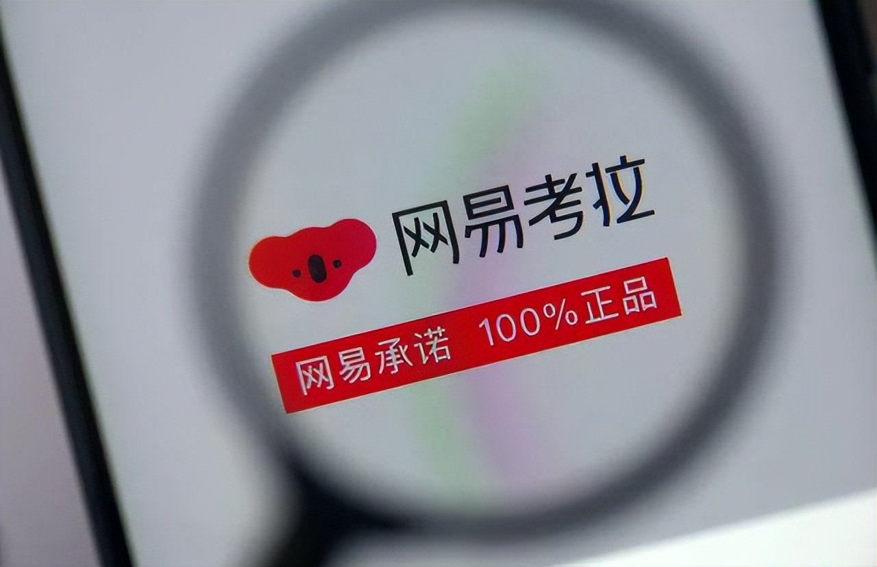 易评助手下载官网：丁磊的“再造网易”梦破灭，考拉海购失败背后的战略误判与时代变迁分析