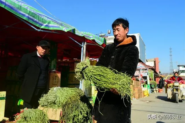 易单助手：中年失业后适合的低成本创业项目推荐与实用案例分析