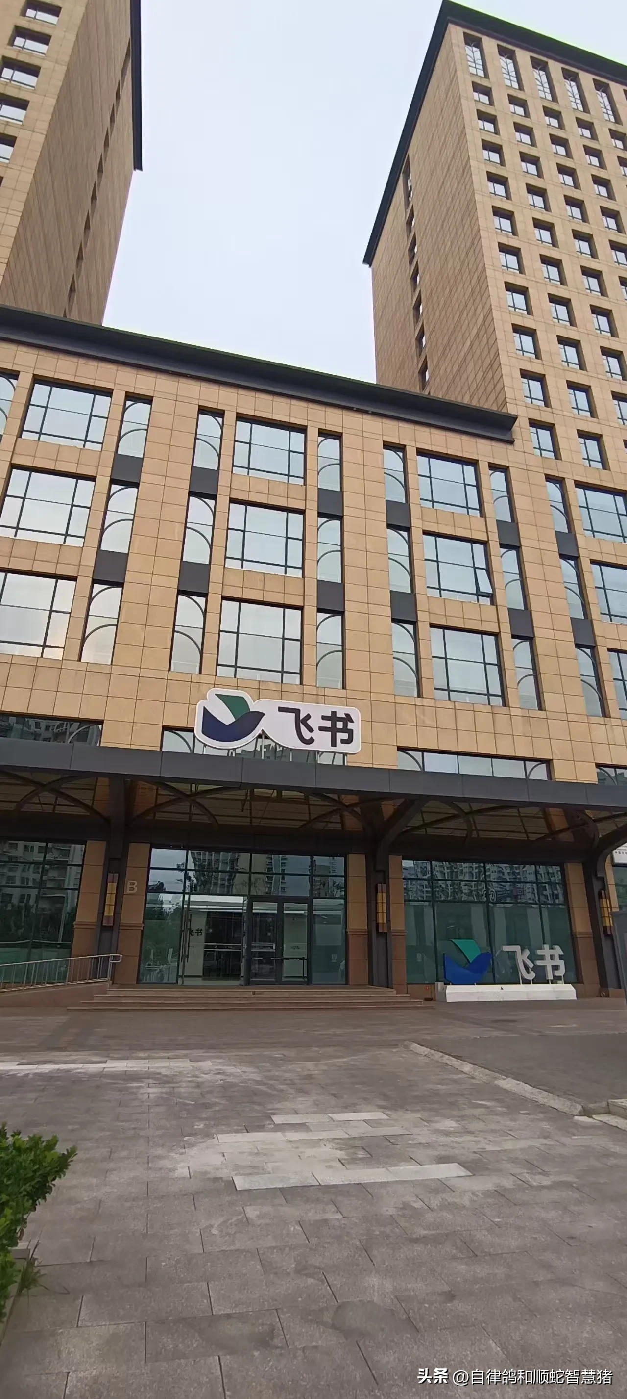 易评助手软件下载：飞书，企业数字化转型的一站式协作平台，助力提升管理效率与安全性