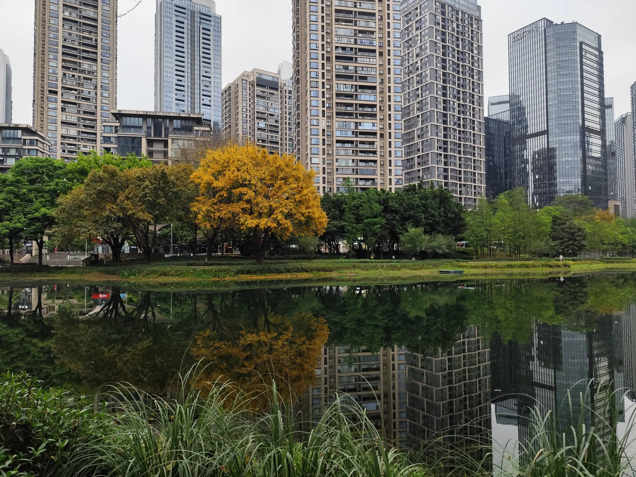 多多留评app：外卖市场再起竞争，美团与京东谁能在技术上逆袭成功？