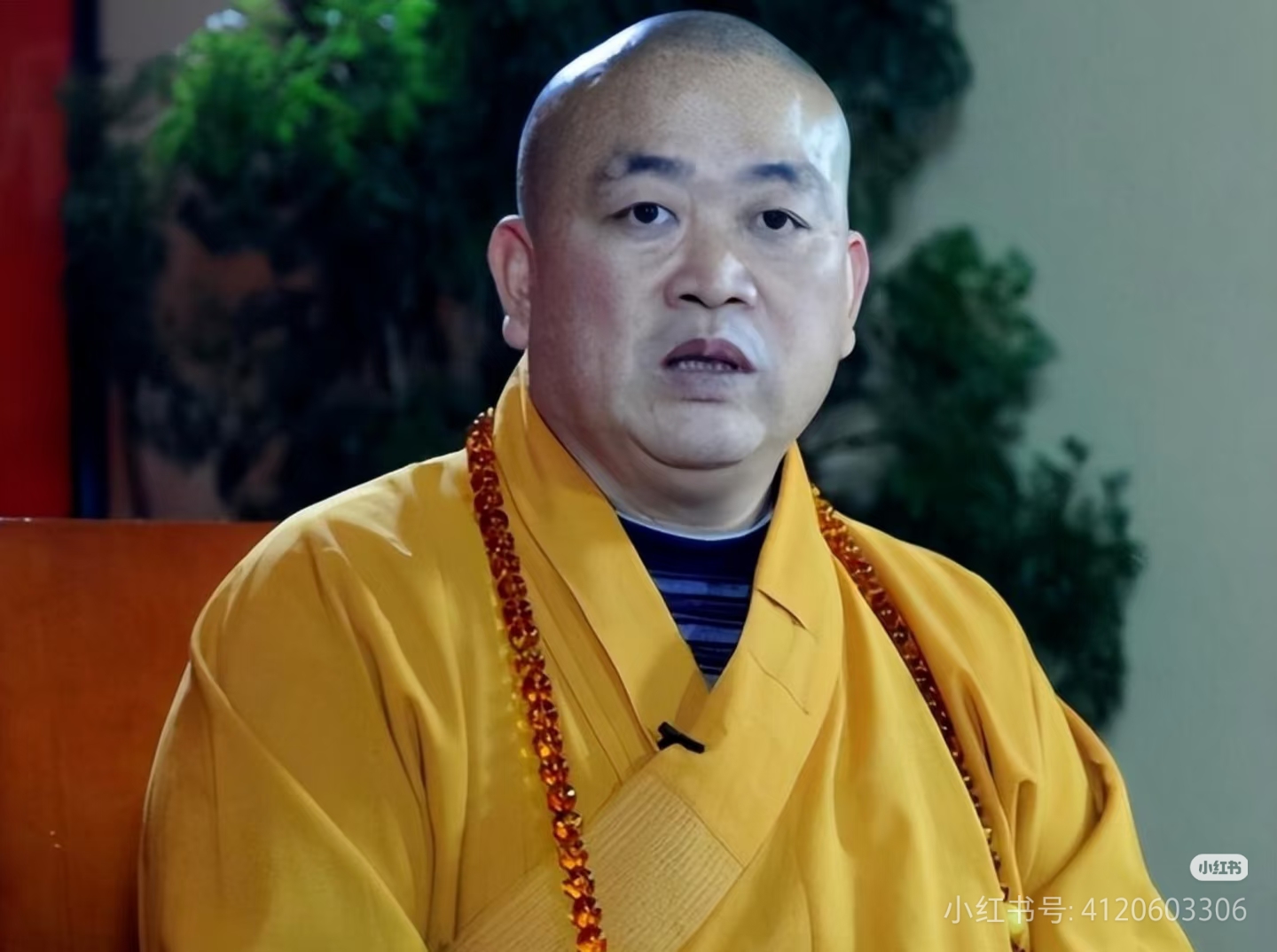 创优助手:释永信被捕背后的反差与法律底线,655万热度的深刻解读 创优助手:释永信被捕背后的反差与法律底线,655万热度的深刻解读