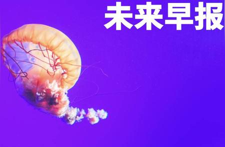 小J助手：B站员工因私怨封号用户被开除，官方回应强化职业道德与管理机制