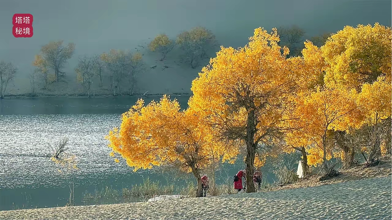 YY助手下载官网：董宇辉与杨振宁，以人品和精神力量服务国家与人民的共鸣