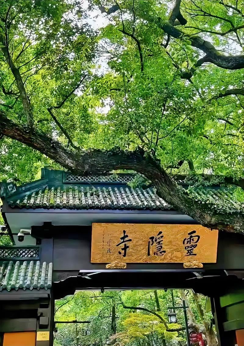 51助手入口：寺庙应否收取门票？探索商业与宗教的界限与初衷