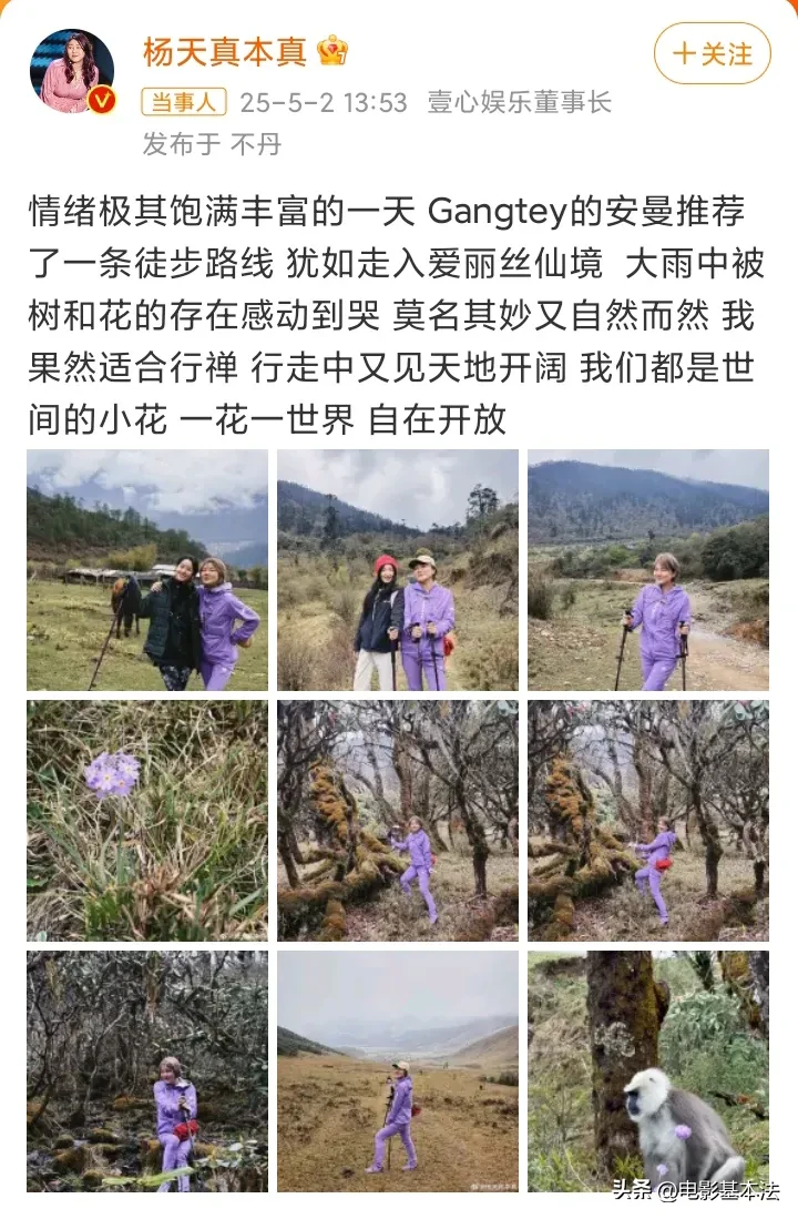 蓝天助手：章泽天与杨天真不丹游玩，亿万富翁妻子的真实生活揭秘