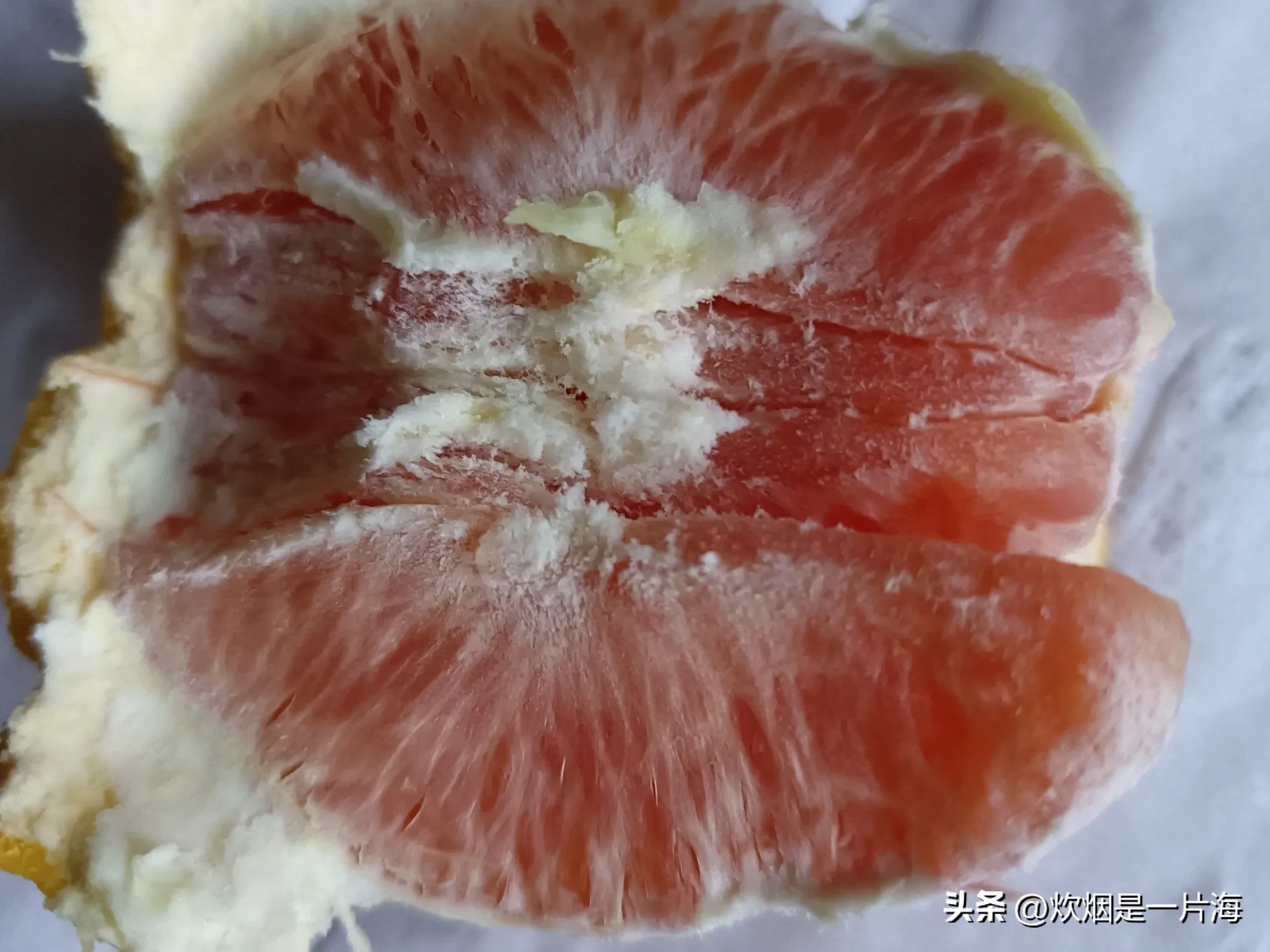 番茄管家邀请码：拼多多血橙遭遇苦味，客服回应引发退款纠纷探讨