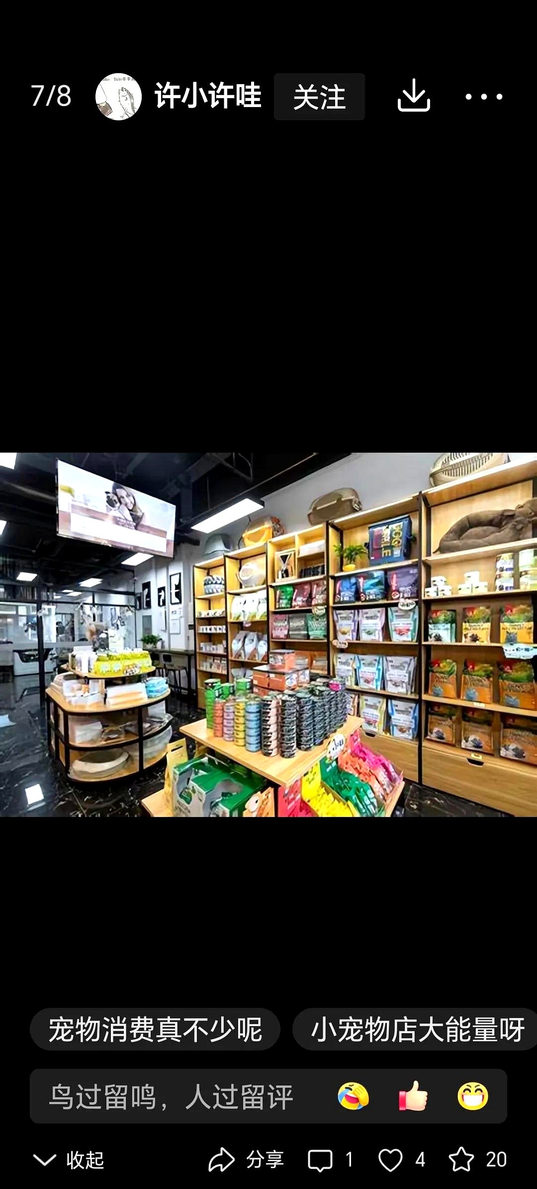 小M助手：宠物经济崛起，夫妻店倒闭后的新挑战与机遇分析