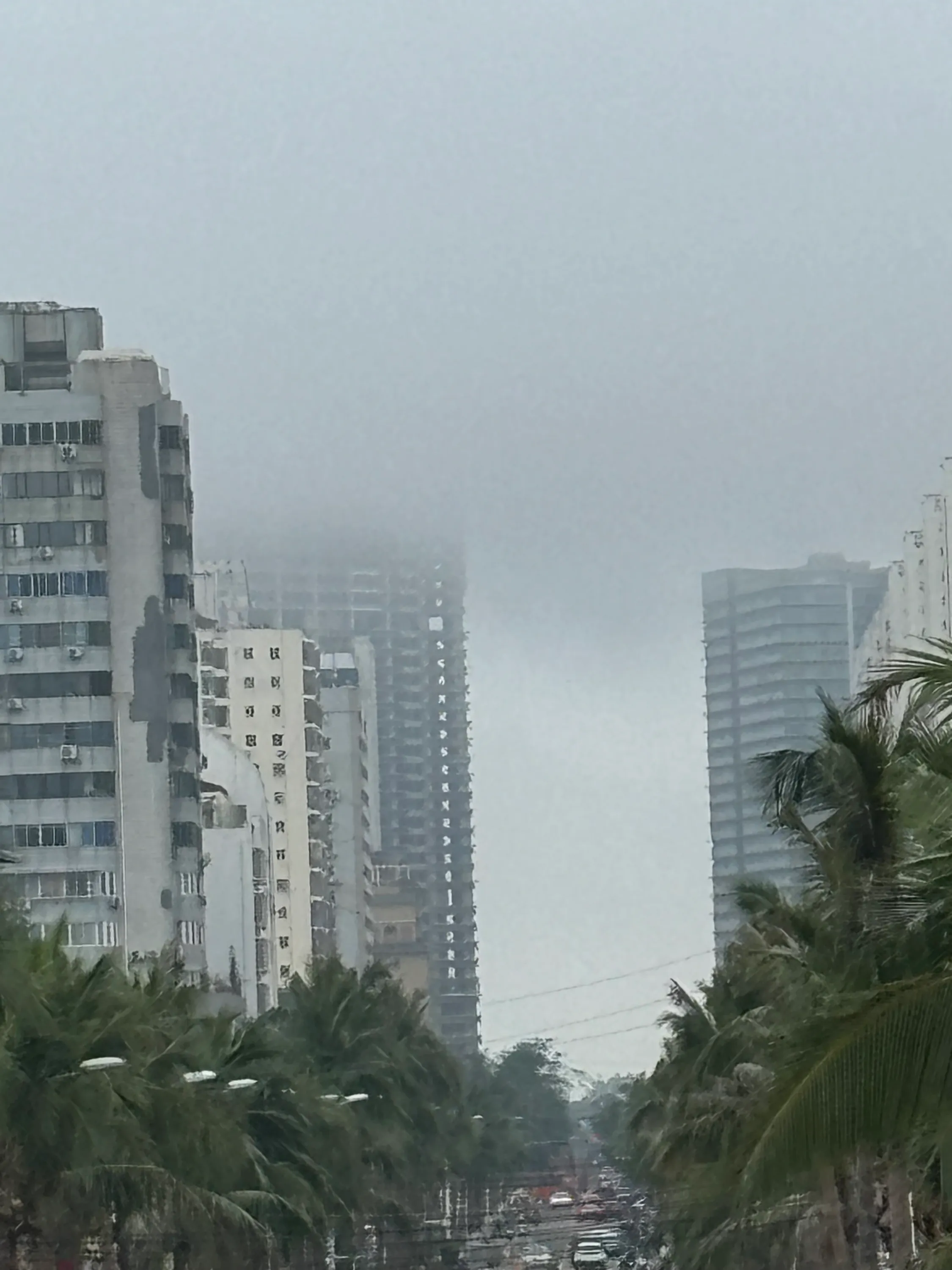 小评评助手拼多多：海口大雾天市场热闹，残疾摊主用爱心感动人心
