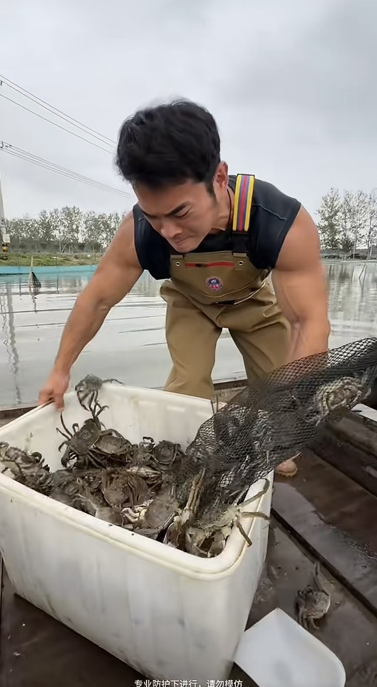 超评助手最新版本：明星跨界宿迁螃蟹养殖，李维刚亲自捕捞售卖新鲜美味！