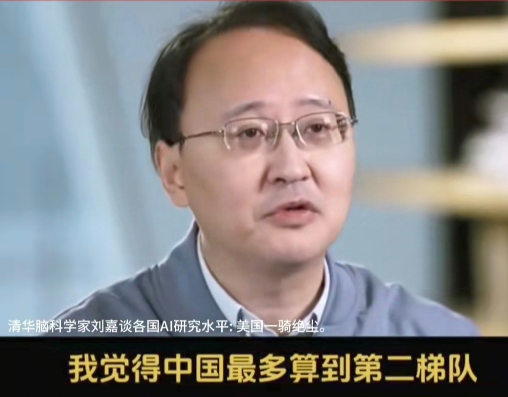 团粉助手软件下载：清华教授刘嘉，AI领域中美差距与技术竞争的深度分析