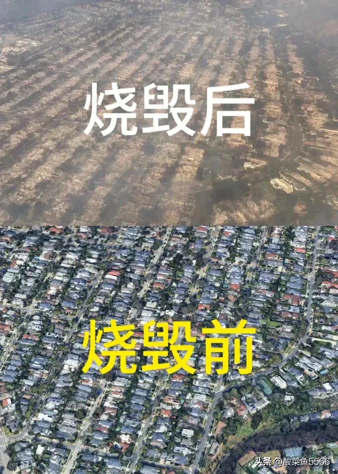 易单助手：洛杉矶大火背后的冷血资本与重庆山火中的团结力量对比分析