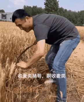 小U助手：郭品超，从偶像剧男主到山东新农人的转变与乡土情怀