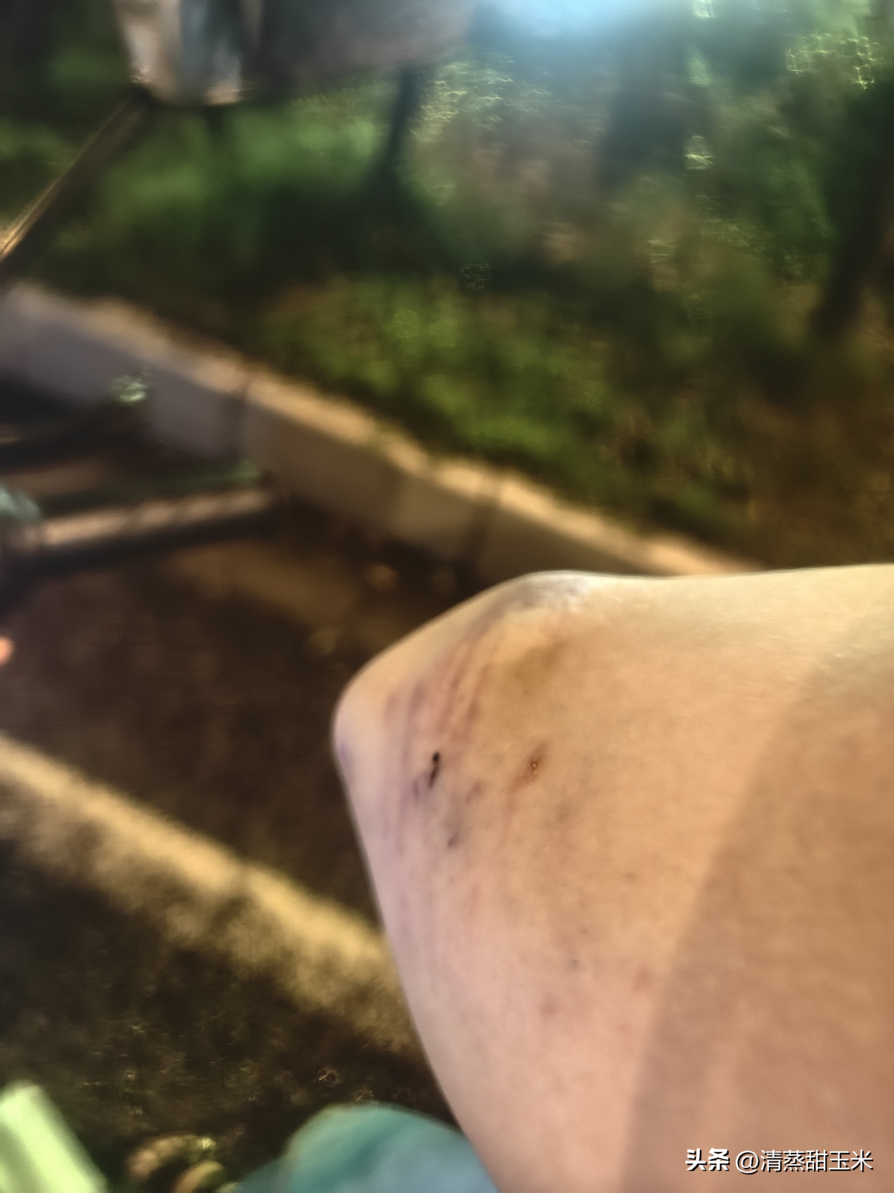 Q助手：外卖兼职的风险与宝妈转型自媒体之路