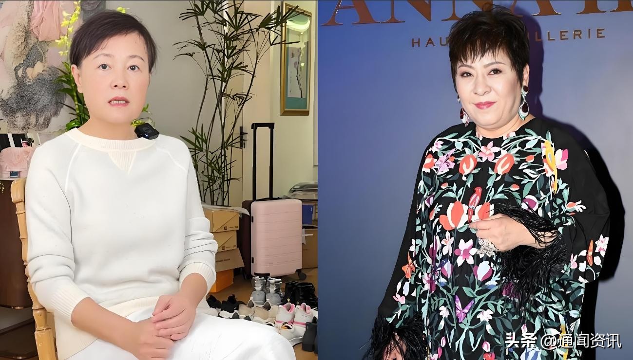 乐多多助手：向太与史晓燕的骂战，娱乐圈的火药味与舆论风暴