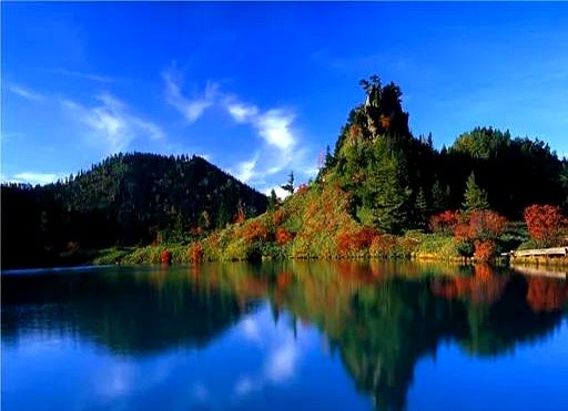 J助手软件：闲鱼赚钱新模式，无库存电子产品轻松月入上千