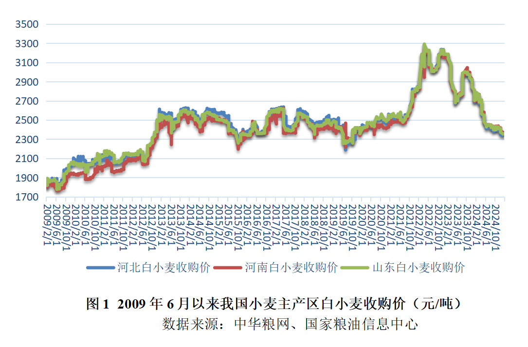 小评评助手补单软件：2025年1月国内小麦价格周报，略跌趋势及期货市场分析