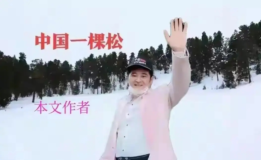 拼多多出评神器软件官网：流浪大师沈巍，从逆境中汲取智慧与坚持的启示