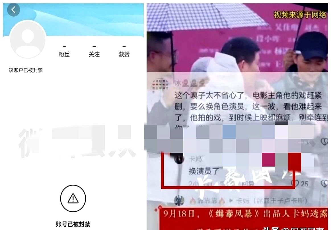 51助手网站：谢孟伟直播带货翻车，童星转型引发争议与舆论风波