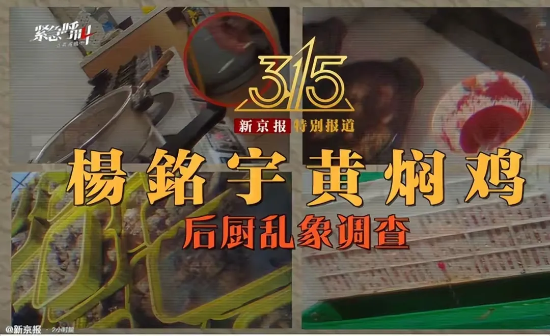 易评助手：杨铭宇黄焖鸡食品安全危机，品牌信任崩塌与餐饮行业反思