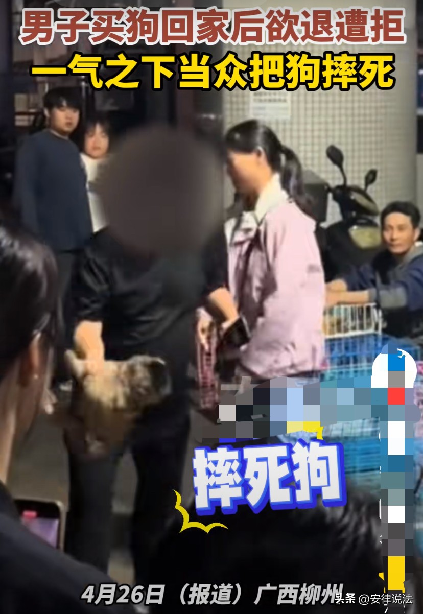 小G助手拼多多：男子当街摔死小狗事件，法律分析与公众反响