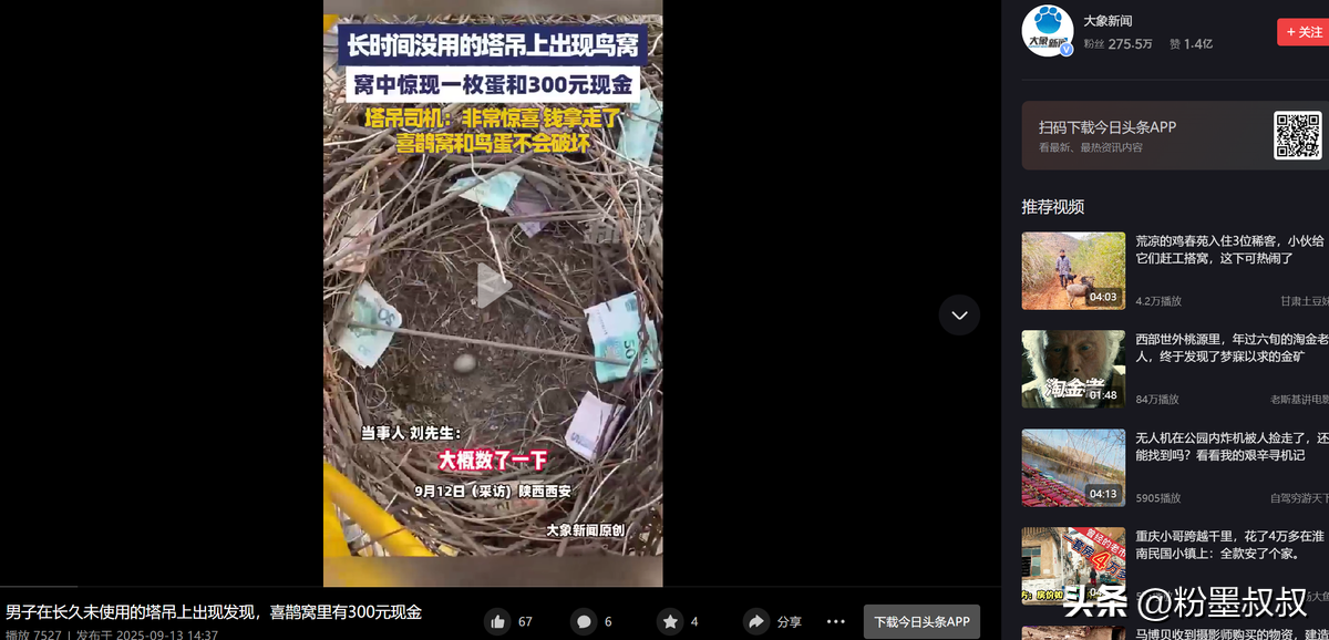 易评助手软件下载：西安塔吊师傅意外发现喜鹊窝，竟藏现金和鸟蛋，网友直呼躺着赚钱！