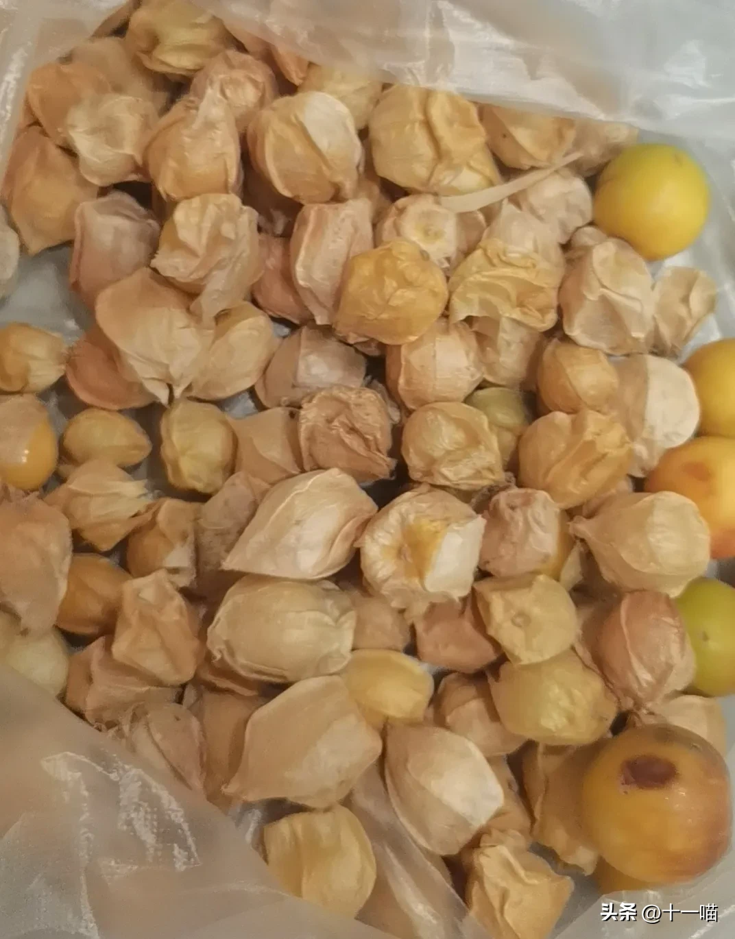 小Q助手开团软件：长春城市漫步，市场探索与美味水果体验
