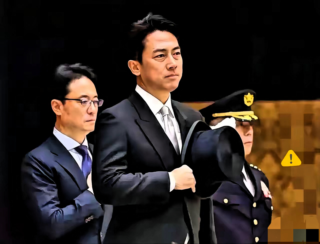 拼多多出评神器：日本防卫省宣称自卫队将“确保台海和平”，中国强调应对措施引发热议