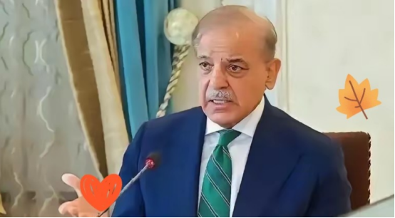 多宝助手靠谱吗：中巴经济走廊，巨型工程遭遇低效治理与资源浪费困境