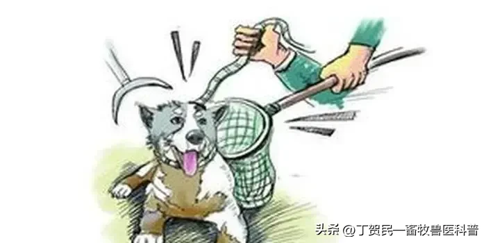 易单助手下载：良心企业家为何屡遭无端攻击？胖东来与东方甄选的品质坚守之路