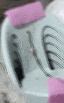 51助手最新版本：昆明女子网购小凳意外拆出活蛇，商家仅退款引发维权关注