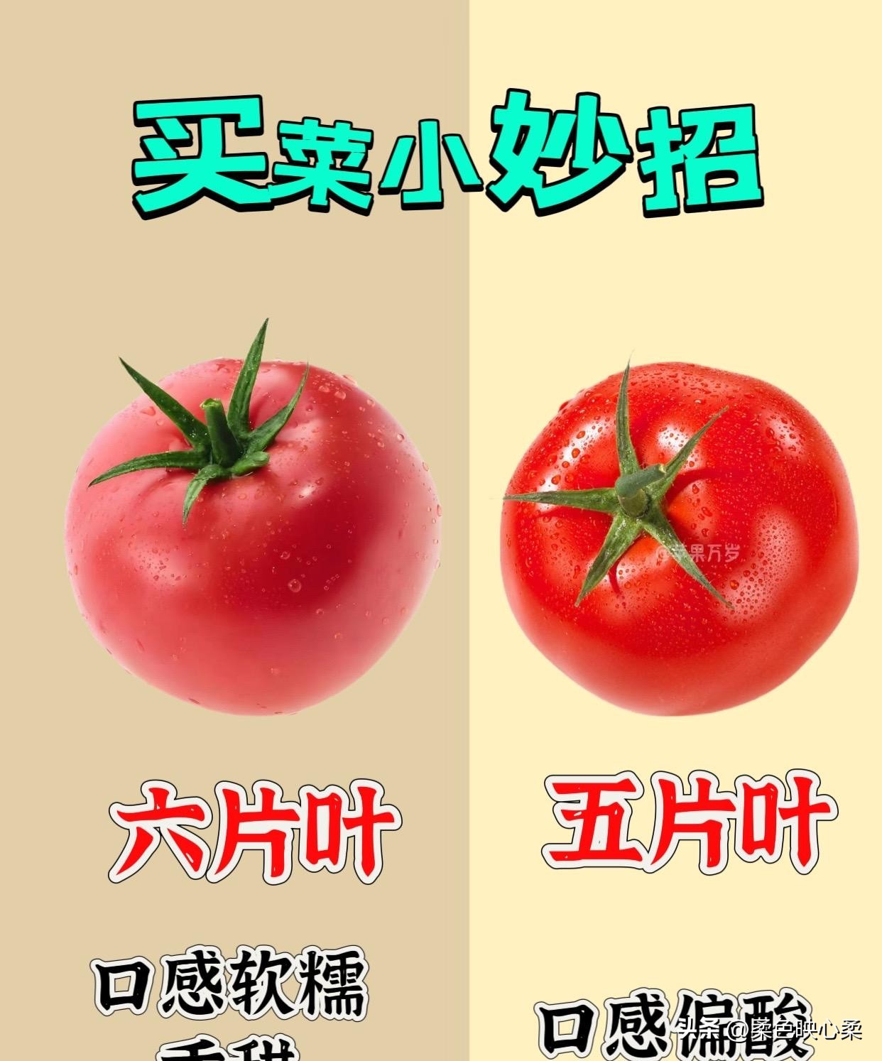 大麦助手下载官网：买菜技巧大揭秘，如何挑选新鲜食材与讨价还价的秘诀