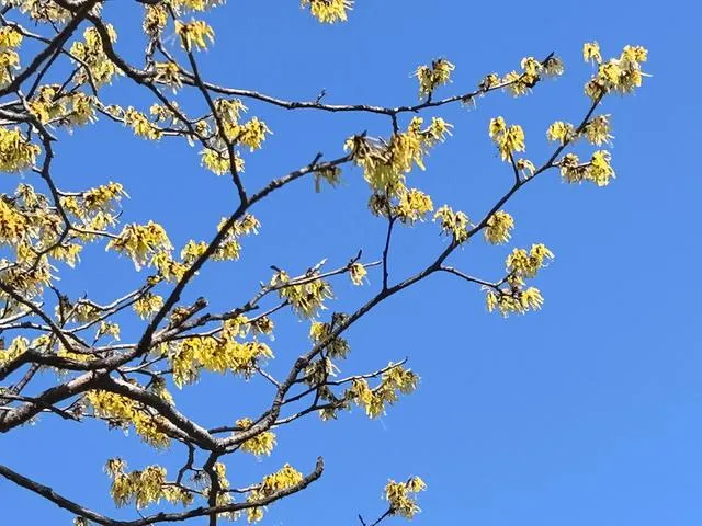 51助手出评软件：股指低开窄幅整理，题材股活跃并购重组板块表现强劲