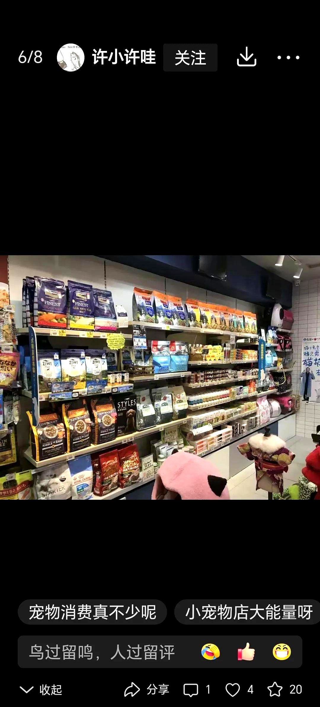 小M助手：宠物经济崛起，夫妻店倒闭后的新挑战与机遇分析