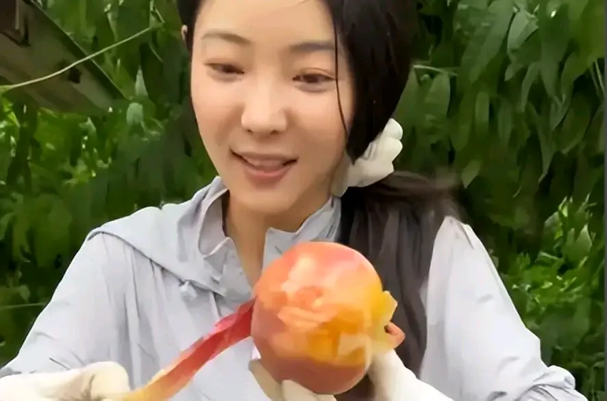 速评助手：李福贵的崛起与陷阱，网红时代坚持初心的重要性