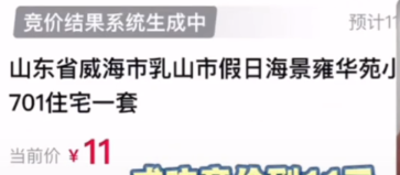 团粉软件官网：山东女子11元拍得海景房，引发低价拍卖背后营销套路反思