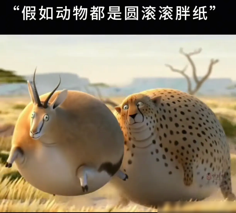 团粉助手：全国超重问题严重，国家推体重管理年助你健康减肥！