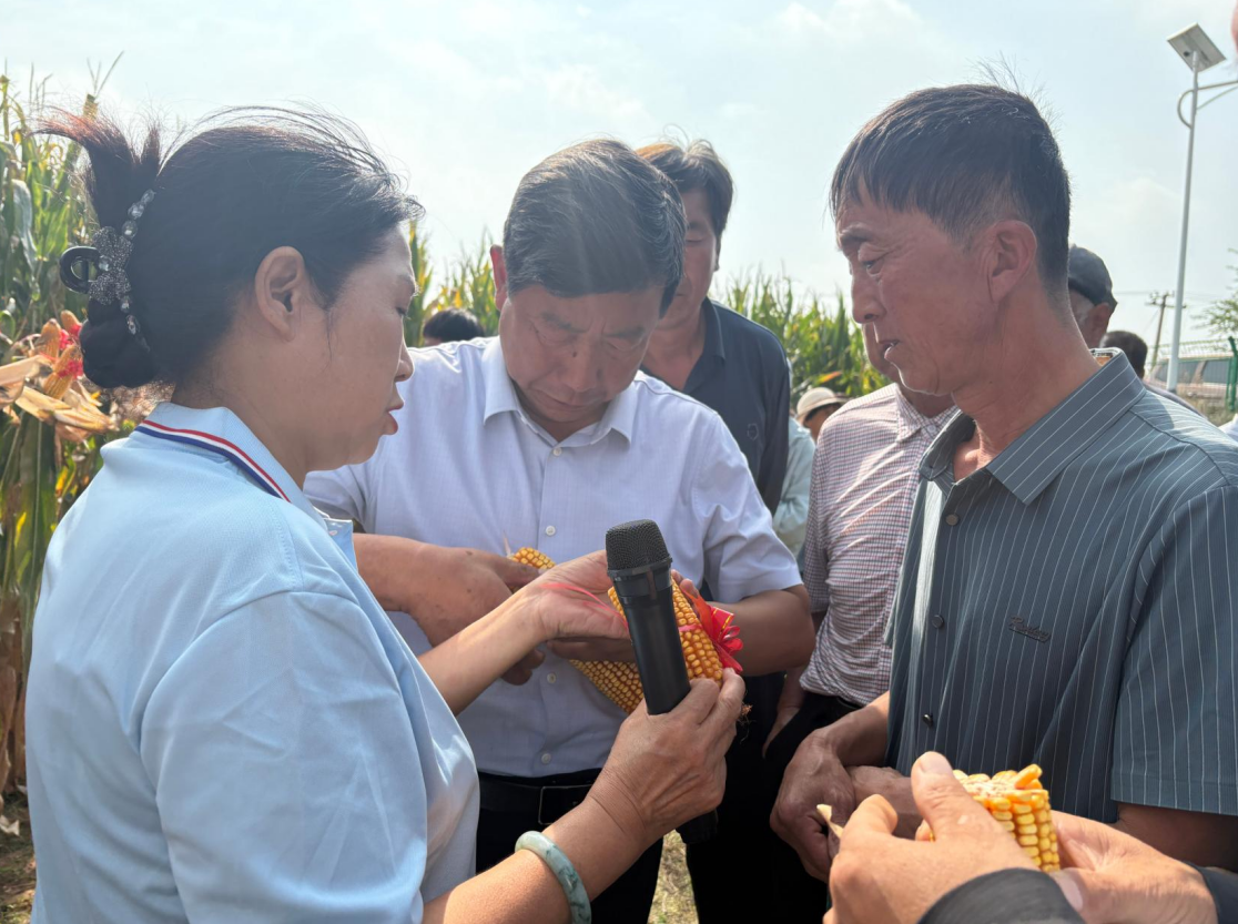 小评评助手最新版本：神木市秋季玉米田间观摩会，优质品种助力农业增产提效