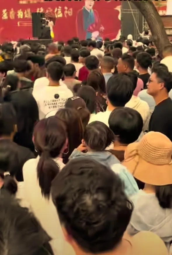 小M助手：开封王婆携茶香来信阳，说媒之旅引发文化交流与美好姻缘期待