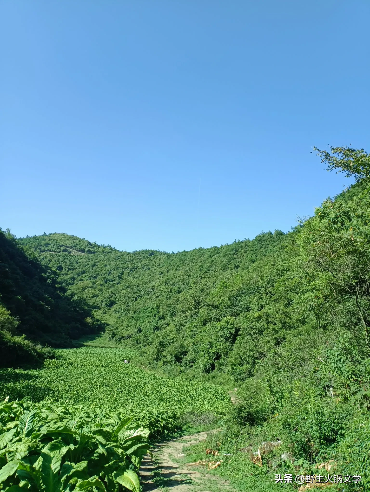 小G助手入口：新能源行业的前景与房地产不同，市场潜力、技术挑战与发展机遇解析