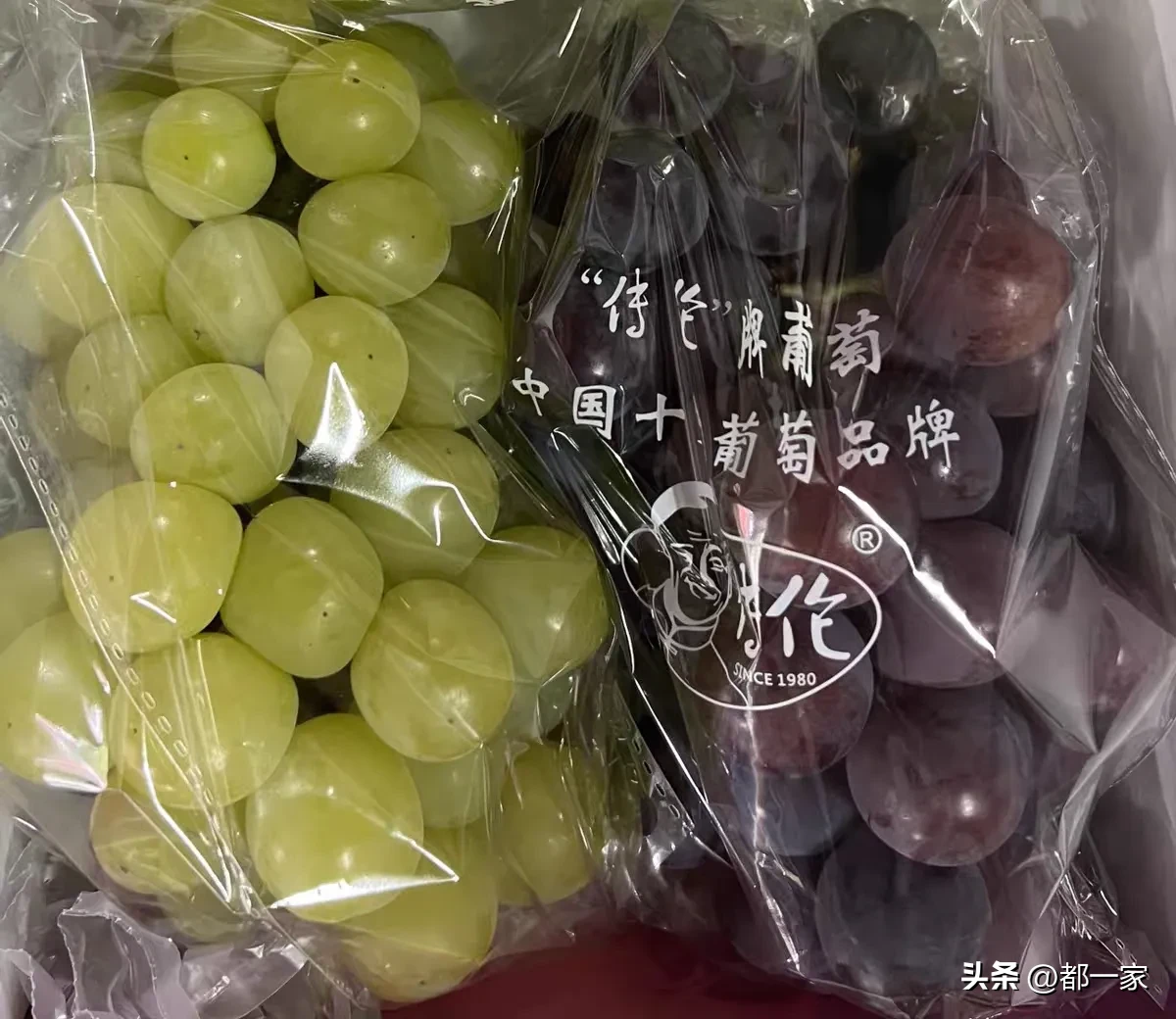 夕夕助手使用方法：郑州冷链直邮“传伦”葡萄，阳光玫瑰甘甜惊艳品尝体验