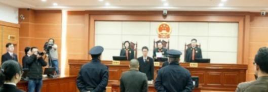 领航助手：18岁小伙网购玩具枪被判无期，法律与人性的冲突引发热议