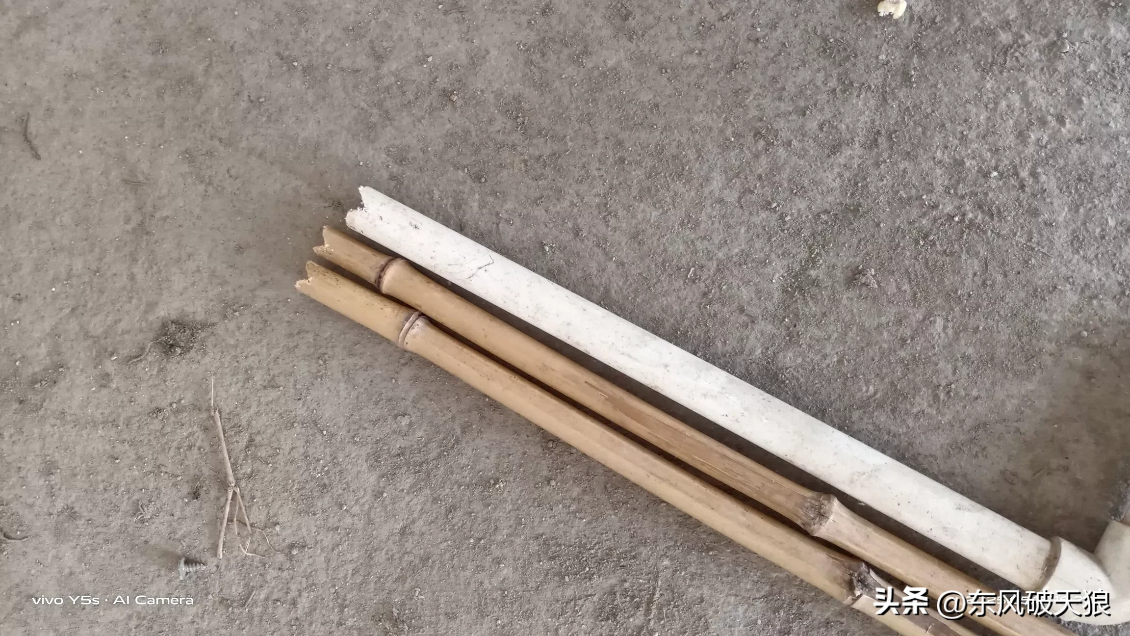 超评助手卡密：网购地瓜秧经验分享，快递包装破损与栽种工具自制探讨