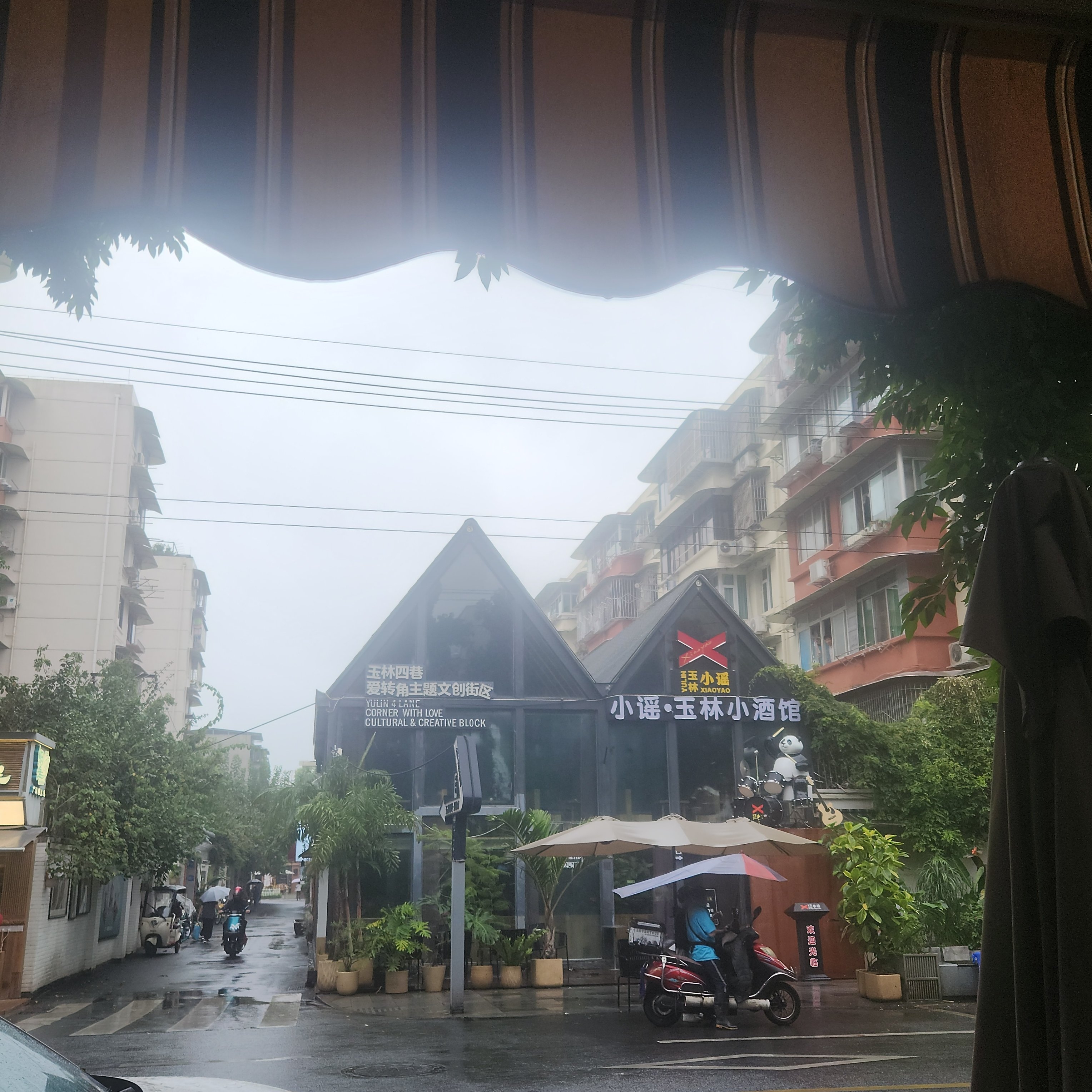 团粉助手下载：城市更新与社区活力，如何吸引年轻人返流玉林东路