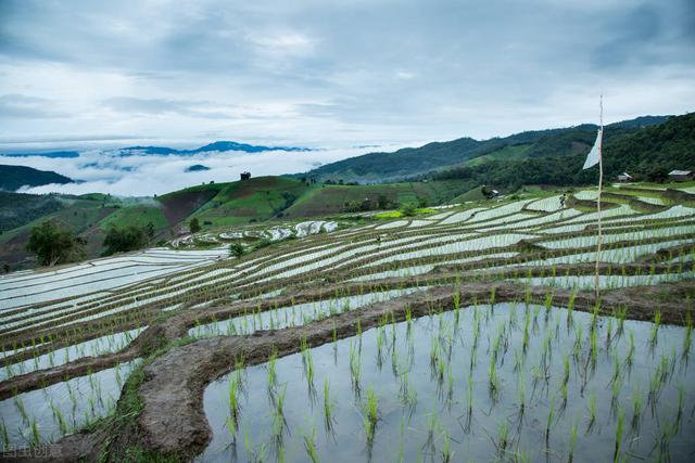 Y助手：农民为何不再种地？探讨山区与平原农业的出路与现代化发展