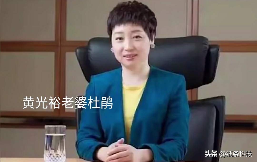 小评评助手出评软件：黄光裕出狱在即，国美电器未来命运何去何从？