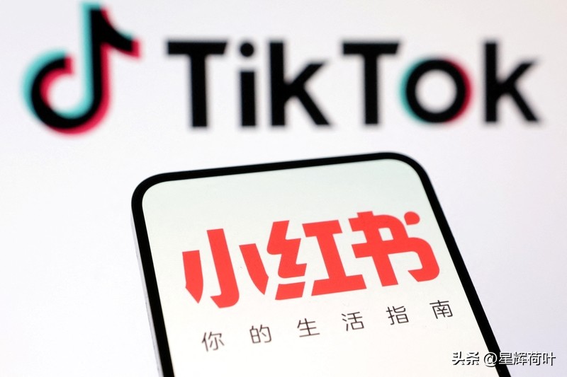 快火助手下载官网：小红书因内容管理不当被罚，用户或将受益于更有价值的实用信息