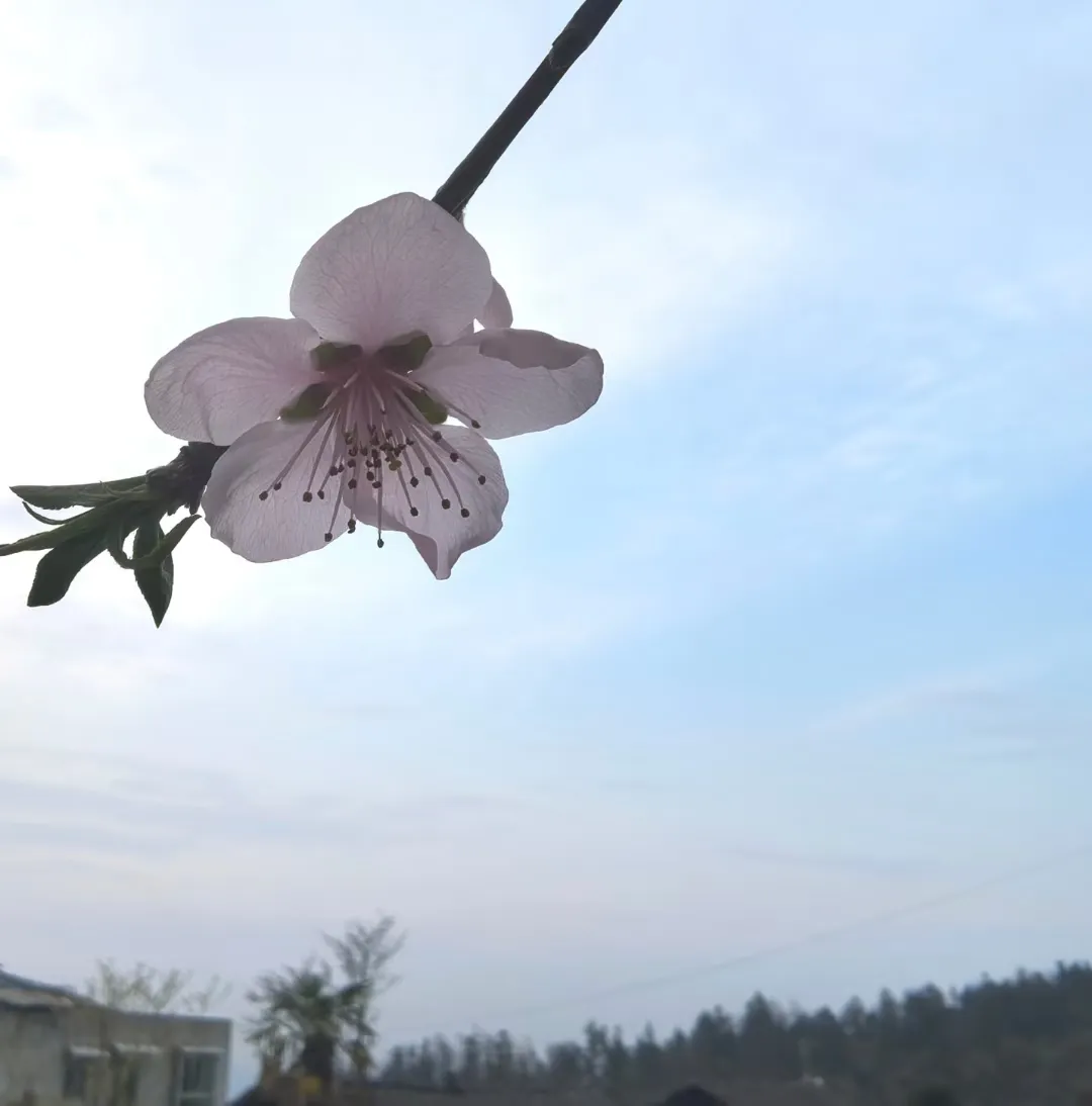 CC助手：中年后的孤独，如何面对生活的空虚与人际关系的消逝