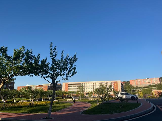 权重大师怎么用：全球物流专业顶尖大学推荐及选择指南，助你赢在起跑线